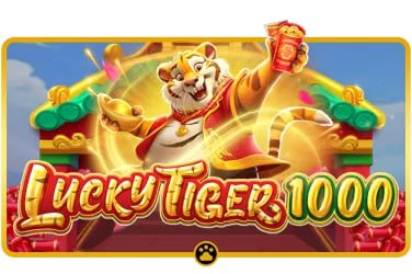 Browser app guide view on 66zz bet for Bangladesh mobile users